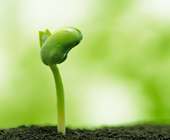 Despite Mental Health Challenges, You Can Thrive Now! 心理健康挑战太糟糕了。他们会把你拖下水,让你觉得自己永远站不起来了。但事情并不一定是这样的。在HealthyPlace上获取提示。