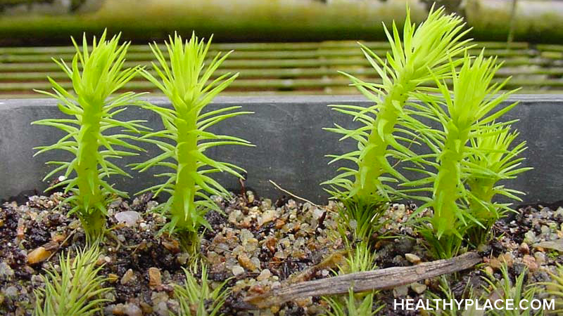 中国的临床试验表明,惠佩尔A大大减少了阿尔茨海默氏病(AD)造成的损害。