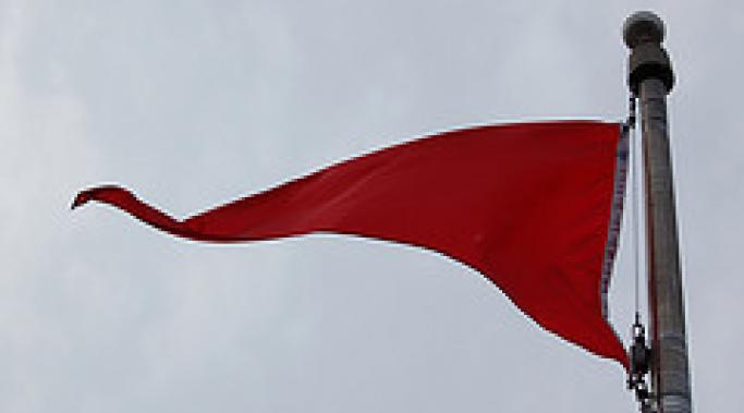 图片由苏西阿尔玛