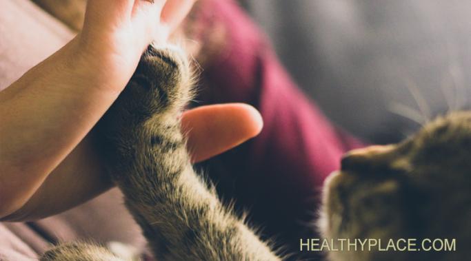 Emotional Support Animals and Your Housing Rights 有精神病士残疾的人在联邦住房法律下的情绪支持动物在不支付额外费用。了解您的权利。