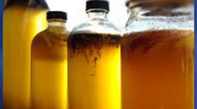 Replacing Addiction: My Adventures with Kombucha 我已经用生产和消费康普茶取代了酗酒的生活方式