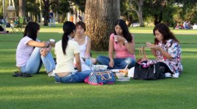 What Is a Binge Eating Disorder Support System? 我建议与你的暴食症支持系统在我的很多文章。但什么是暴食症支持系统?