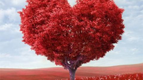 Loving Yourself When You Have a Mental Illness 当你患有躁郁症或其他精神疾病时,爱自己并不是一件容易的事。为了你的心理健康,你必须学会爱自己。