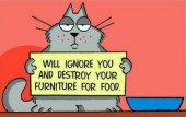 cat work for food