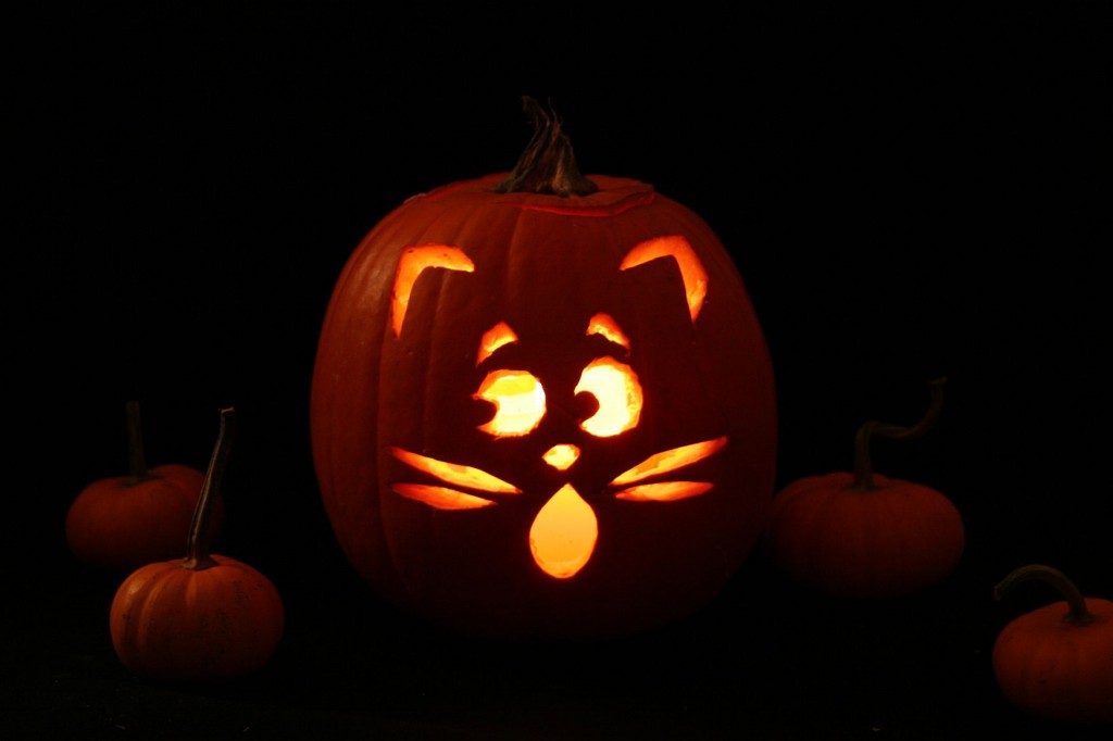 Halloween Can Be Frightening For People with Mental Illness 对于那些患有精神疾病、创伤后应激障碍或恐慌的人来说,万圣节并不有趣。