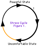 压力的循环是从平静的状态转移到不舒服的状态，然后再回到平静的状态