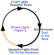 有些压力循环比其他的更容易度过