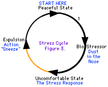 有些压力循环比其他的更容易度过。