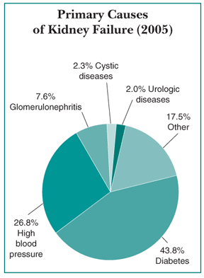 饼状图显示了2005年美国肾衰竭的主要原因