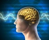 生物反馈的定义和生物反馈如何改善心理健康的解释。但它的效果如何呢?在HealthyPlace上找到答案。