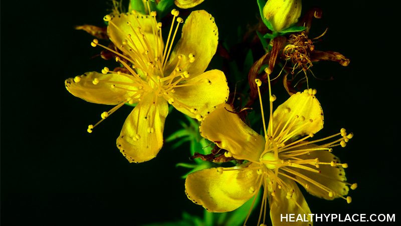 32 St Johns Wort Healthome“style=