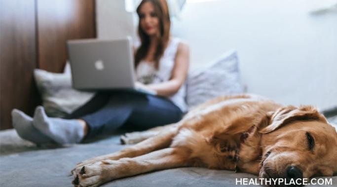 宠物所有权能否对患有精神疾病的家庭成员产生影响？了解我在健康场所对宠物和精神疾病的经历。