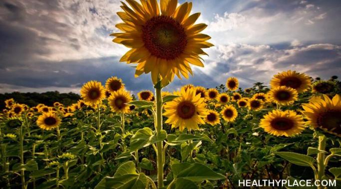 种植幸福很简单(或困难)园艺。找出园艺HealthyPlace增强你的健康和心理健康。