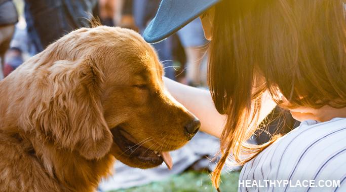 缓解焦虑和宠物是动物疗法最自然的,不需要成为一名专业的受益于宠物。动物给我们的精神和平。手表。