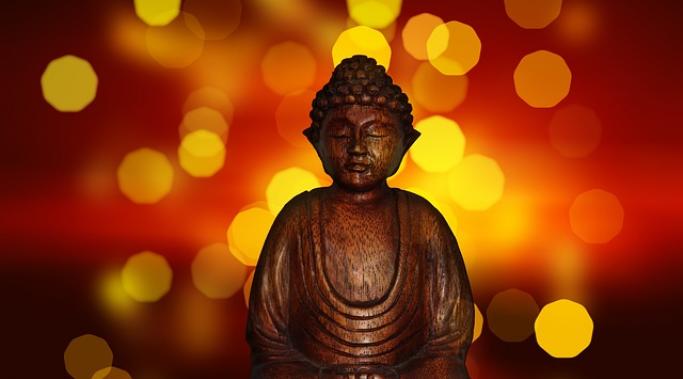 佛教康复网络在正在康复的瘾君子中迅速流行起来。毕竟，佛教有一个内在的戒瘾框架。了解更多。