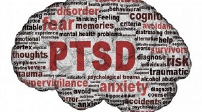 创伤对发展PTSD的人的影响有所不同。但是不用担心，康复会发生。了解PTSD患者在面对创伤时的大脑如何起作用。