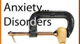 焦虑症在国家心理健康研究所 - 尼姆研究所研究。