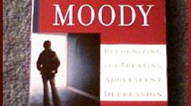 哈罗德·科普维茨(Harold Koplewicz)博士是《不止是穆迪》(More Than Moody)一书的作者，该书介绍了如何识别和治疗青少年抑郁症。他说谈话疗法可以帮助抑郁的青少年。