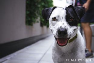 养狗对心理健康有很多好处。在HealthyPlace了解为什么养狗对我的心理健康是必要的。