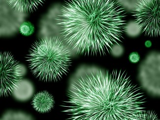 在《纽约时报》的一篇文章中，科学家讨论了抑郁症的其他原因。我们是在考虑正确的抑郁症原因吗？