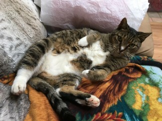 学会使用五种感官来控制在边缘性人格障碍中常见的恐慌发作。这里有一些建议可以帮助你更快地冷静下来。来看看。